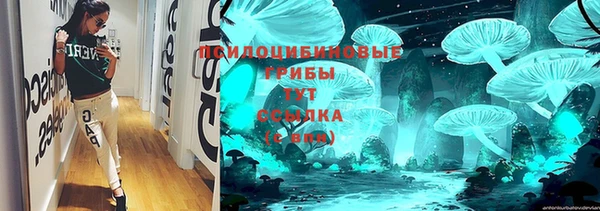 дживик Лабытнанги