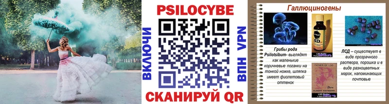 Галлюциногенные грибы Psilocybine cubensis  Купить где  Нижневартовск 